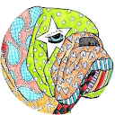 Clara Fontana profile picture